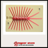 LC Water Widow mold