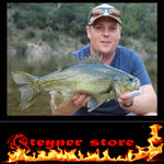Balista Trigger LED fishing Lure bass
